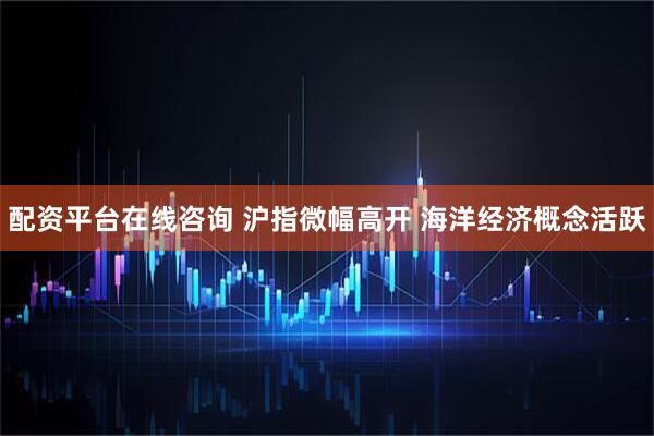 配资平台在线咨询 沪指微幅高开 海洋经济概念活跃