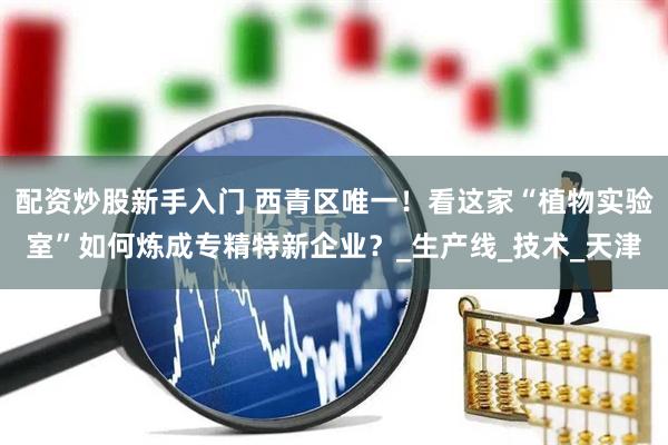 配资炒股新手入门 西青区唯一！看这家“植物实验室”如何炼成专精特新企业？_生产线_技术_天津