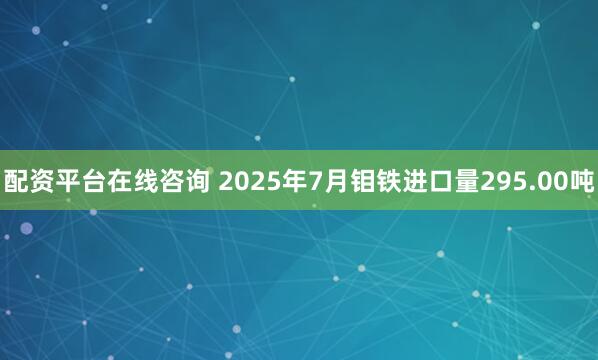 配资平台在线咨询 2025年7月钼铁进口量295.00吨