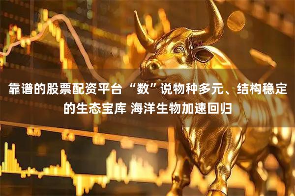 靠谱的股票配资平台 “数”说物种多元、结构稳定的生态宝库 海洋生物加速回归