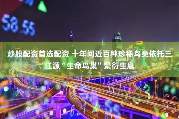 炒股配资首选配资 十年间近百种珍稀鸟类依托三江源“生命鸟巢”繁衍生息
